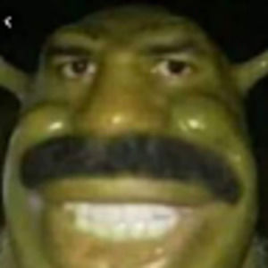 Meet your Posher, Ann